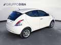 Lancia Ypsilon III 2015 Benzina 1.2 Gold s&s 69cv my19 Wit - thumbnail 5