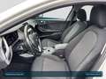 BMW 120 d xDrive Advantage Head-Up+AHK+Navi+Pano+SHZ Weiß - thumbnail 12