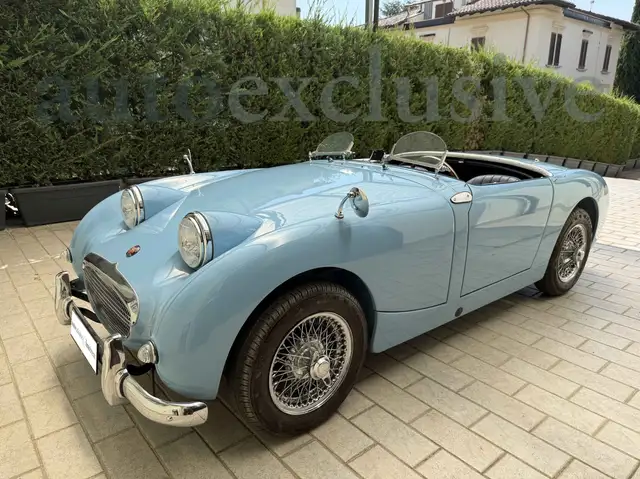Austin Healey view 15