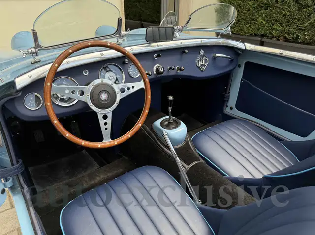 Austin Healey view 9