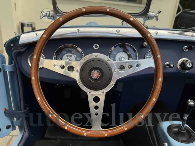 Austin Healey view 11