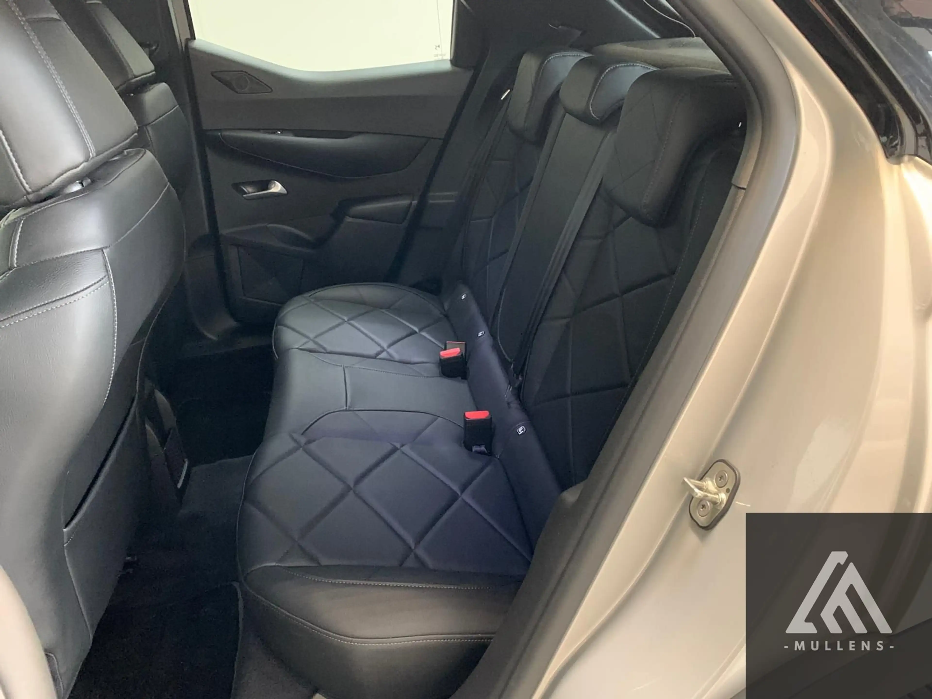 DS Automobiles DS 3 Crossback E-Tense Grand Chic — photo 8
