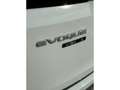Land Rover Range Rover Evoque 2.0D MHEV S AWD Aut. 150 Weiß - thumbnail 9