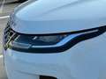 Land Rover Range Rover Evoque 2.0D MHEV S AWD Aut. 150 Weiß - thumbnail 7
