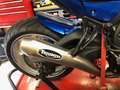 Triumph Tiger 1050 Bleu - thumbnail 4