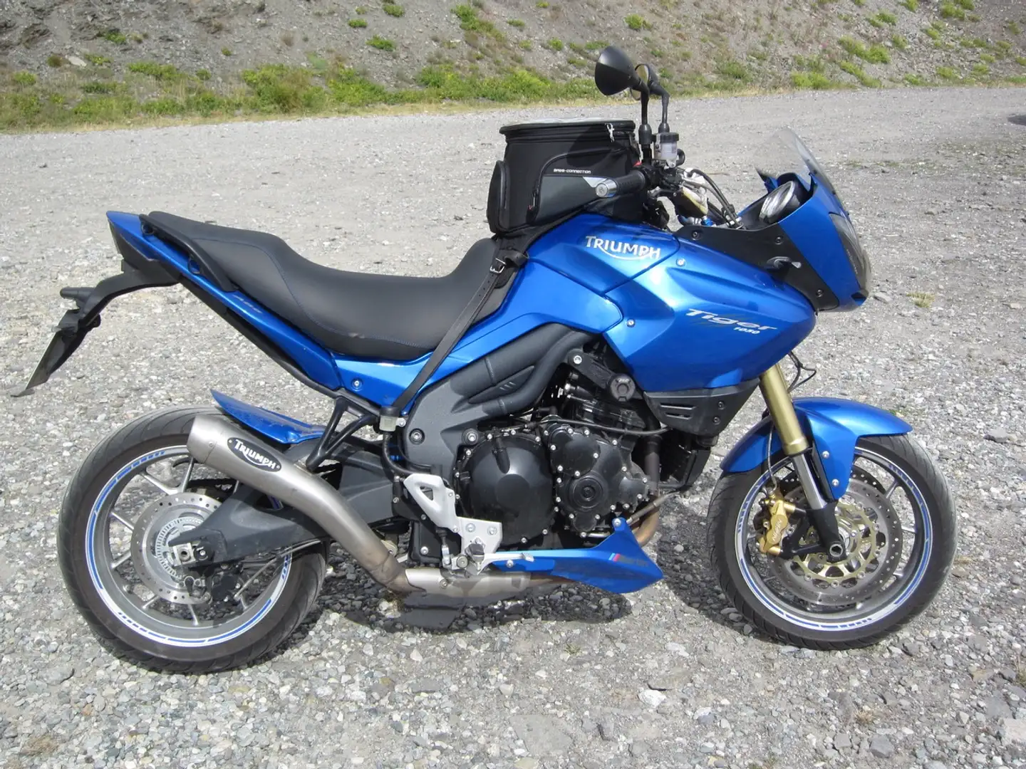 Triumph Tiger 1050 Bleu - 1