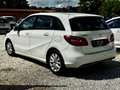 Mercedes-Benz B 200 d (cdi) Premium auto Bianco - thumbnail 4