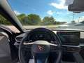 CUPRA Formentor Formentor 2.0 tdi 4drive 150cv dsg Nero - thumbnail 9