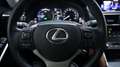 Lexus IS 300 300h Hybrid Navi Leder Clima Led koplampen PDC NAP Gris - thumbnail 18