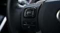 Lexus IS 300 300h Hybrid Navi Leder Clima Led koplampen PDC NAP Gris - thumbnail 23