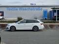 Skoda Octavia Octavia Combi 2.0 TDI DSG Ambition Weiß - thumbnail 3
