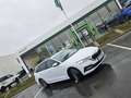 Skoda Octavia Octavia Combi 2.0 TDI DSG Ambition Weiß - thumbnail 6