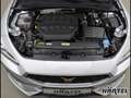 CUPRA Leon SPORTSTOURER VZ 4DRIVE 2.0 TSI DSG Sportpaket Silber - thumbnail 5