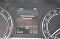 Skoda Scala 1.0 TSI Ambition 81kW Gris - thumbnail 16