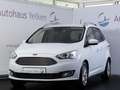 Ford Grand C-Max Grand C-MAX Titanium *RFK*TEMP*7-SITZ Wit - thumbnail 1