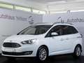 Ford Grand C-Max Grand C-MAX Titanium *RFK*TEMP*7-SITZ Wit - thumbnail 2
