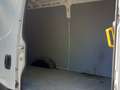Iveco Daily Daily 35S14S L3 H3 Weiß - thumbnail 13