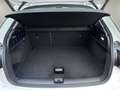 Audi Q2 30 TDI Advanced S tronic 85kW Blanco - thumbnail 21