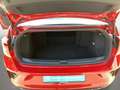 Volkswagen T-Roc Cabrio R-Line 1.5 TSI DSG Navi AHK LED Rot - thumbnail 13