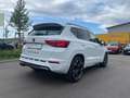 CUPRA Ateca TSI DSG 4Drive Panoramadach Brembo Klima Navi Blanc - thumbnail 4