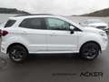 Ford EcoSport 1.0 EcoBoost ST-Line 7J.Garantie -47%* Bianco - thumbnail 8