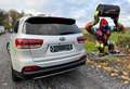 Kia Sorento 2.2 CRDi AWD Sense 7pl. Gris - thumbnail 6
