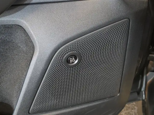 Ford Focus view 18