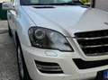 Mercedes-Benz ML 350 Classe M - W164 cdi Grand edition auto E5 Blanco - thumbnail 20