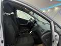 Kia Ceed / cee'd cee'd 1,0 TGDI ISG Titan*LED*KAMERA*KLIMA* Silber - thumbnail 19