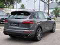 Porsche Cayenne II Platinum Edition Aut.**KUNDENAUFTRAG**PICKER... Grau - thumbnail 7