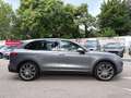 Porsche Cayenne II Platinum Edition Aut.**KUNDENAUFTRAG**PICKER... Grau - thumbnail 8
