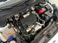 Ford Focus Sportbreak 1.5Ecoblue Trend+ Blanc - thumbnail 47