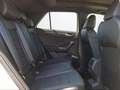 Volkswagen T-Roc 1.5 TSI DSG R-LINE+IQ.LIGHT+CAM+STHZ+PANO Grau - thumbnail 12