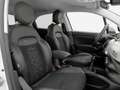 Fiat 500X 1.6 MultiJet 120 CV Business Bianco - thumbnail 17