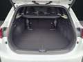 Kia Ceed SW / cee'd SW CEED SW 1.5T 140 DCT7 GT-Line TEC Weiß - thumbnail 14