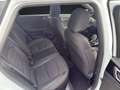 Kia Ceed SW / cee'd SW CEED SW 1.5T 140 DCT7 GT-Line TEC Weiß - thumbnail 13