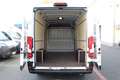 Peugeot Boxer 35 L4H2 180 Automatik*Kamera*ACC*LED*Holz Weiß - thumbnail 4