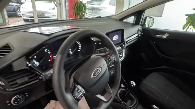 Ford Fiesta view 11