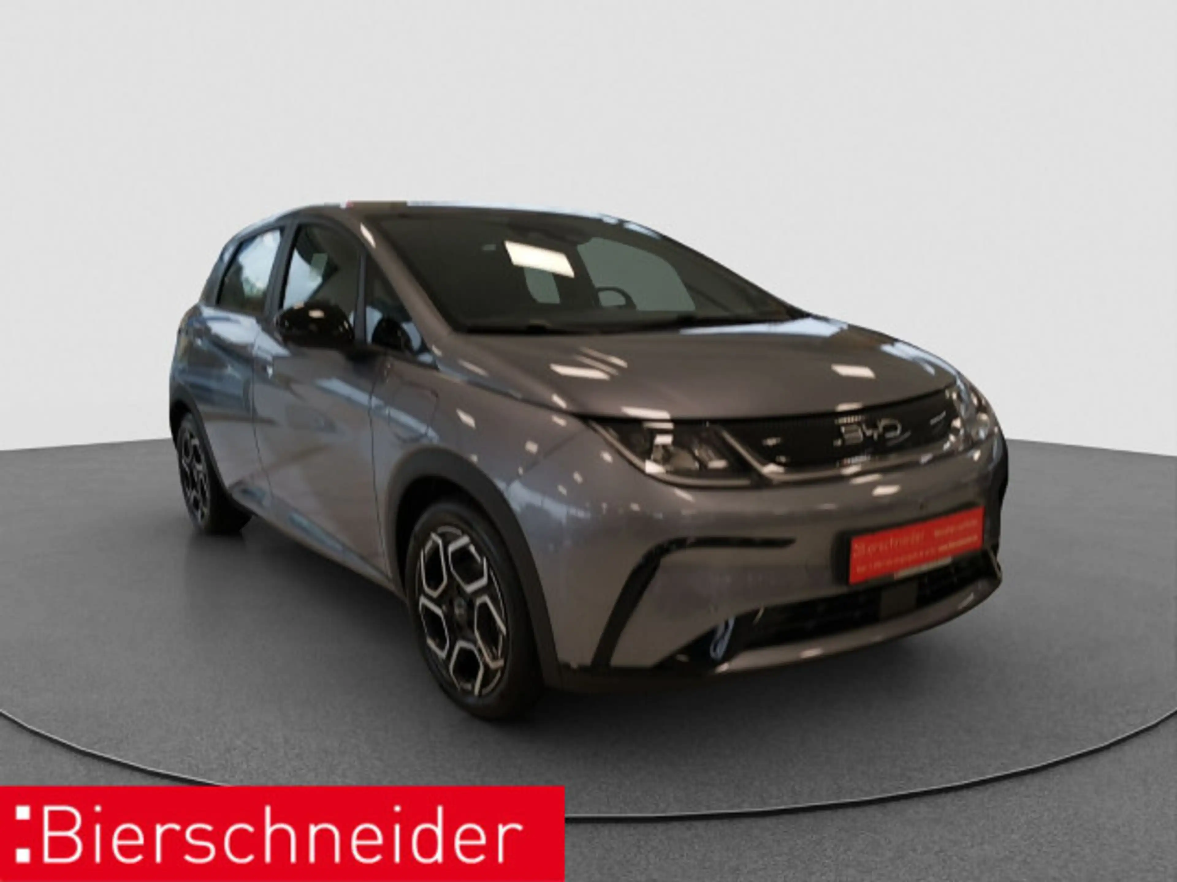 BYD Dolphin Dolphin DMS Design LED PANO LEDER 360° — photo 3