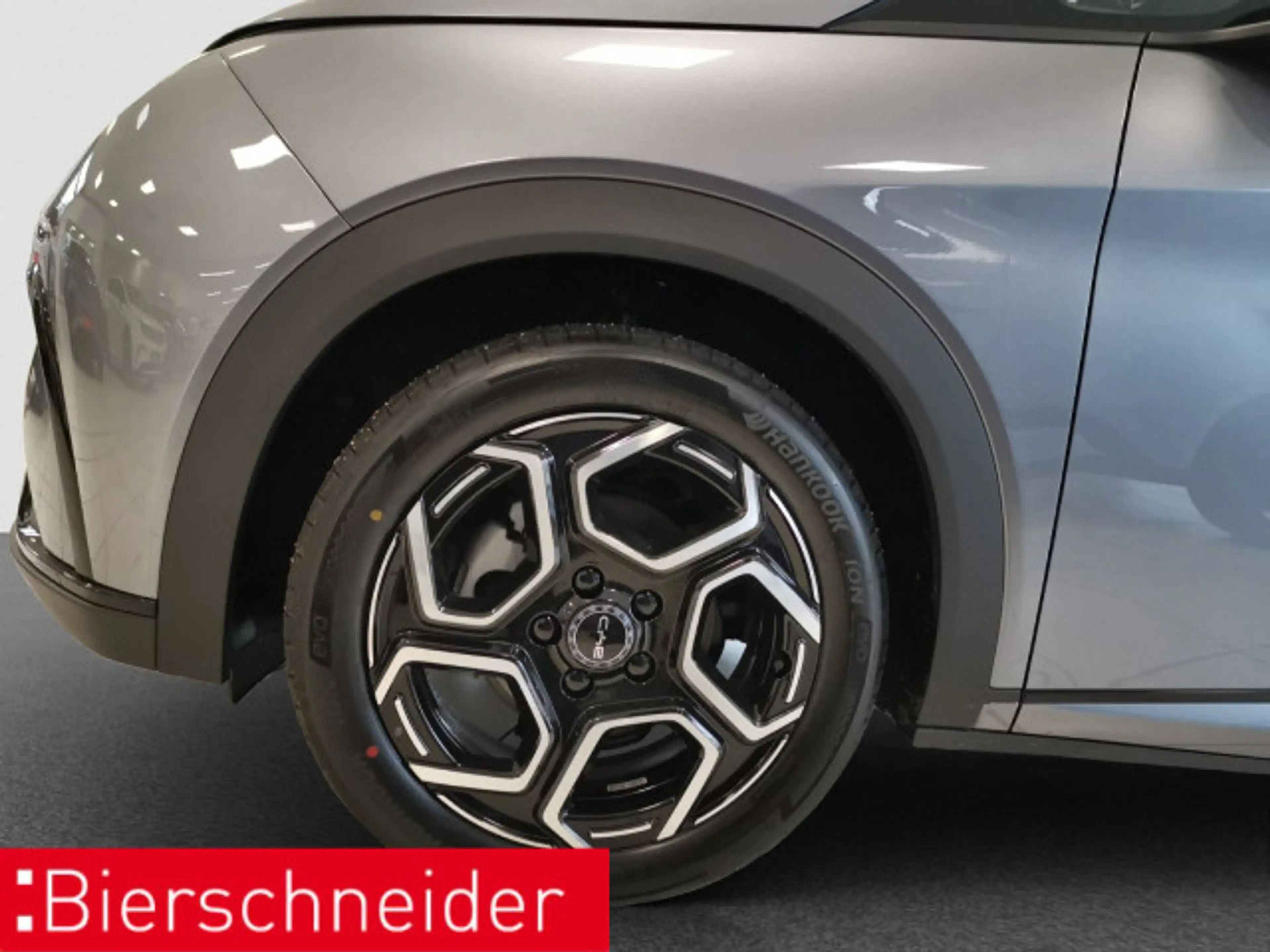 BYD Dolphin Dolphin DMS Design LED PANO LEDER 360° — photo 8