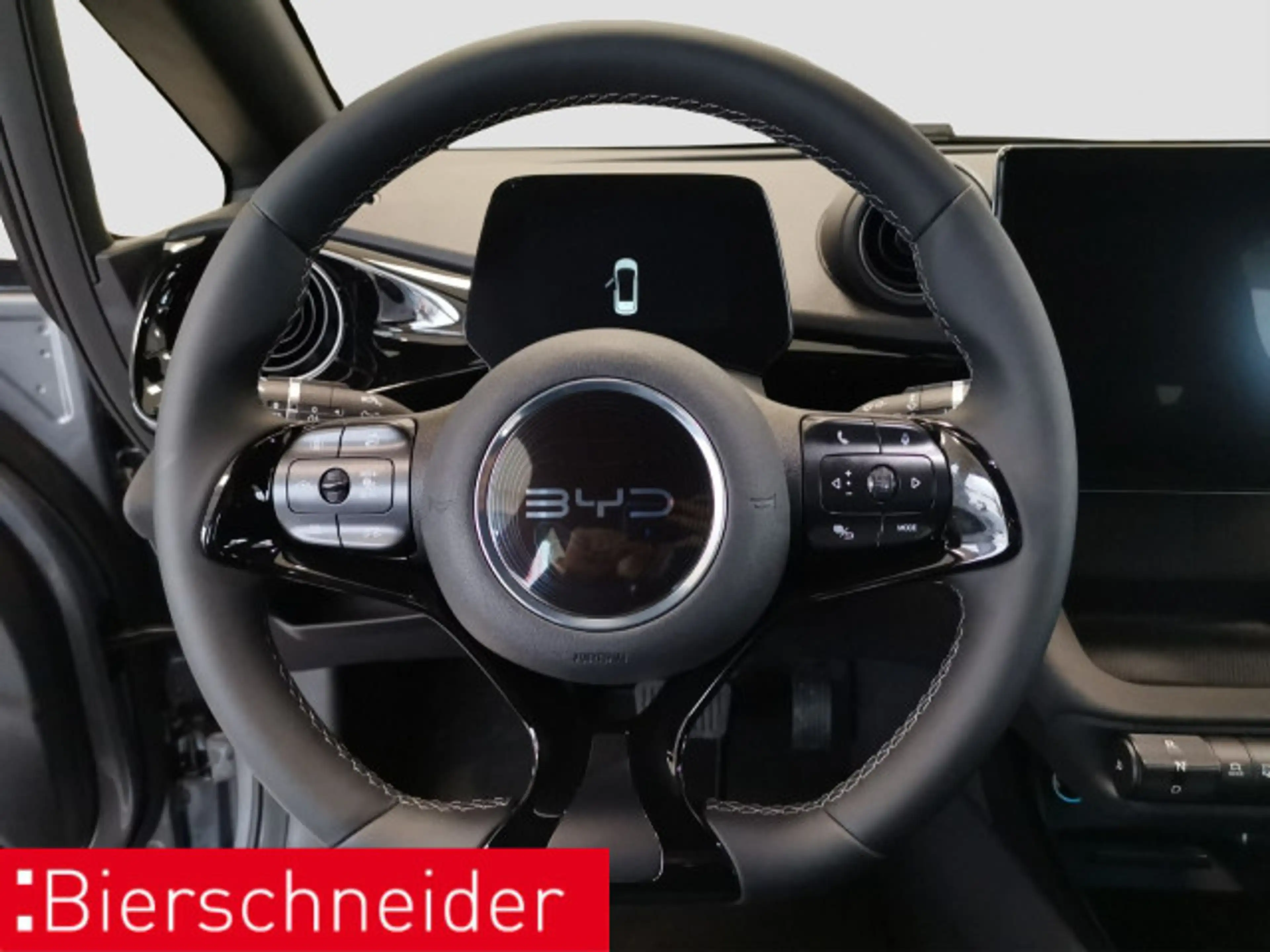 BYD Dolphin Dolphin DMS Design LED PANO LEDER 360° — photo 11