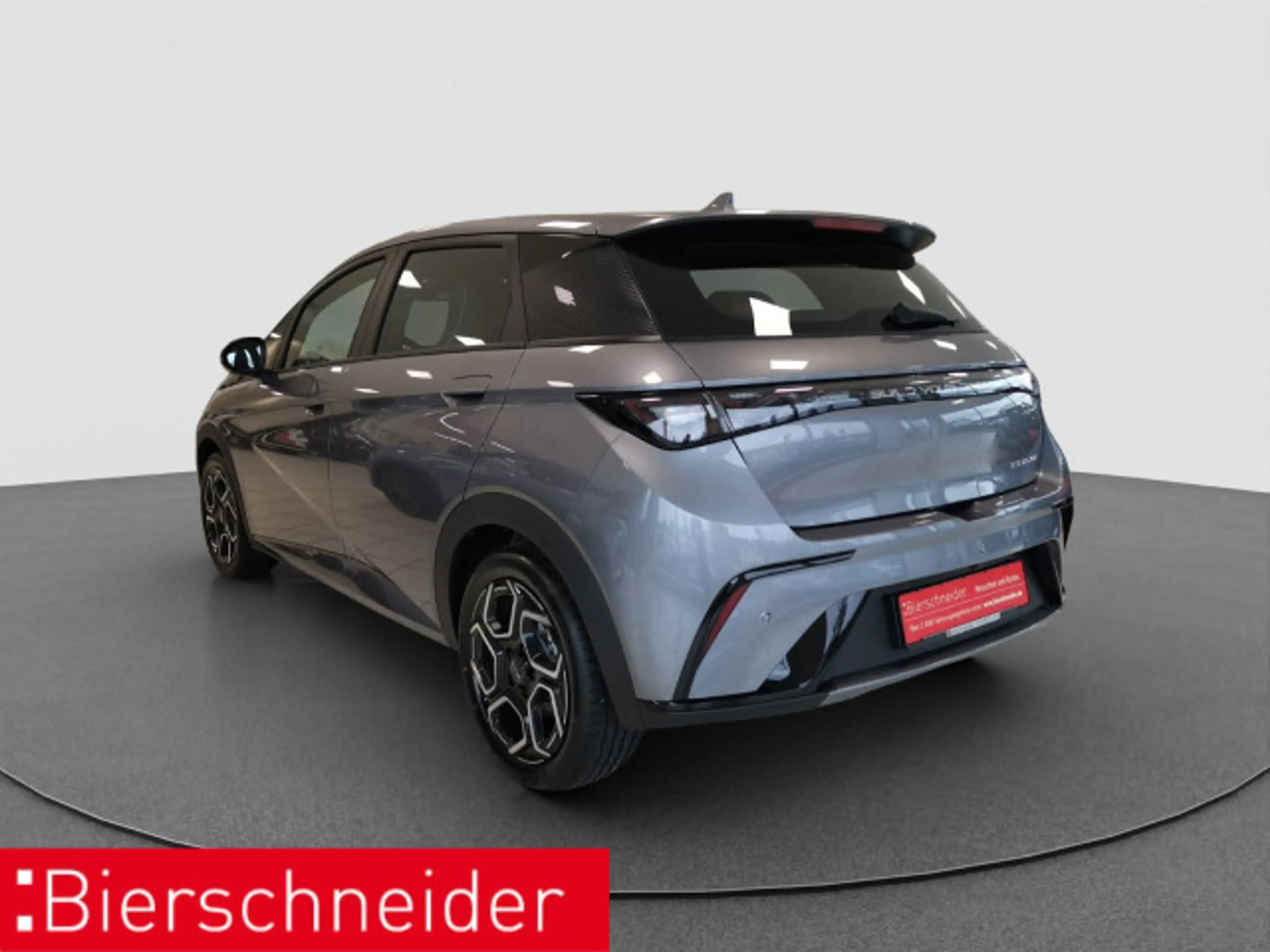 BYD Dolphin Dolphin DMS Design LED PANO LEDER 360° — photo 6