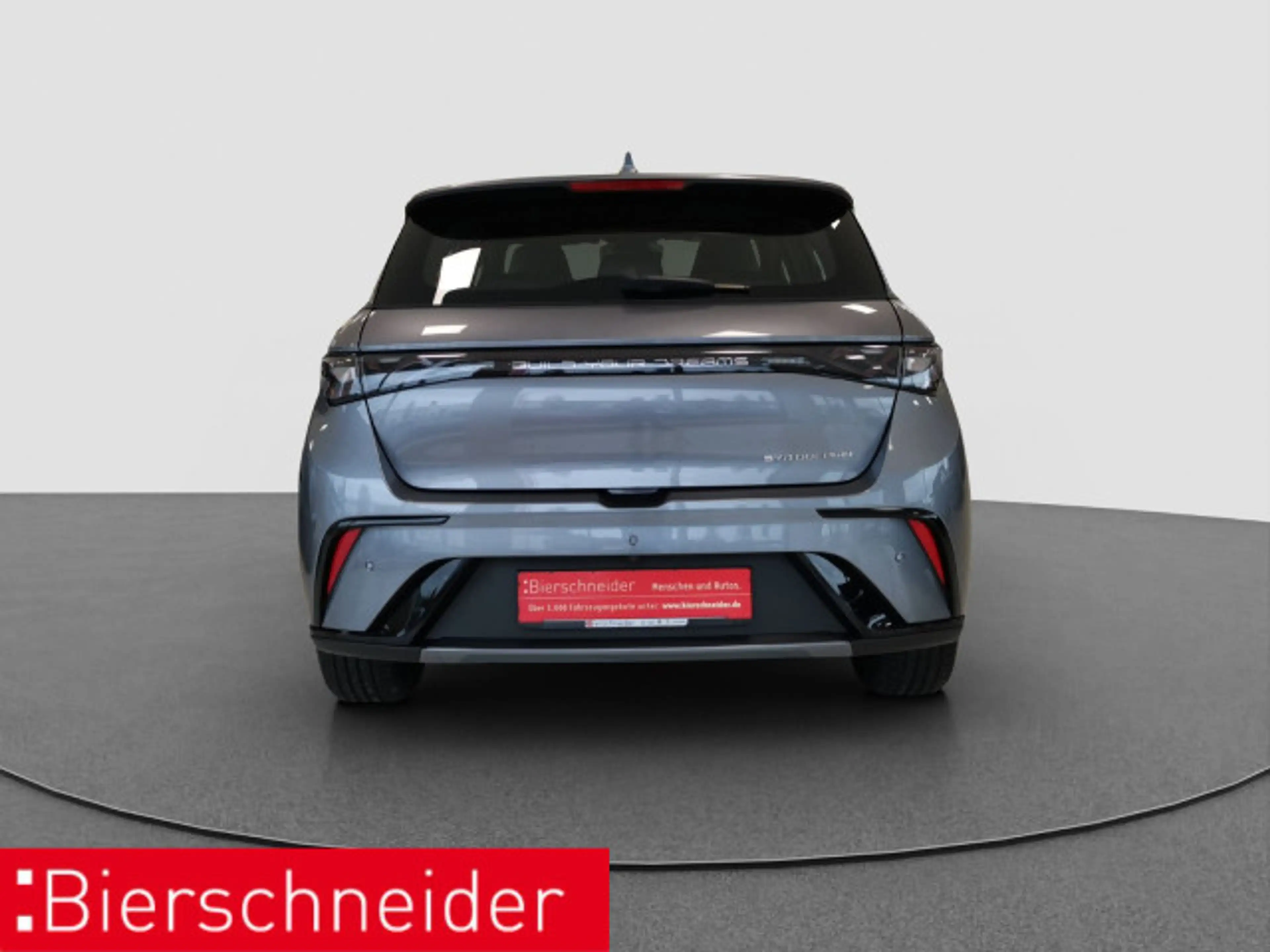 BYD Dolphin Dolphin DMS Design LED PANO LEDER 360° — photo 5