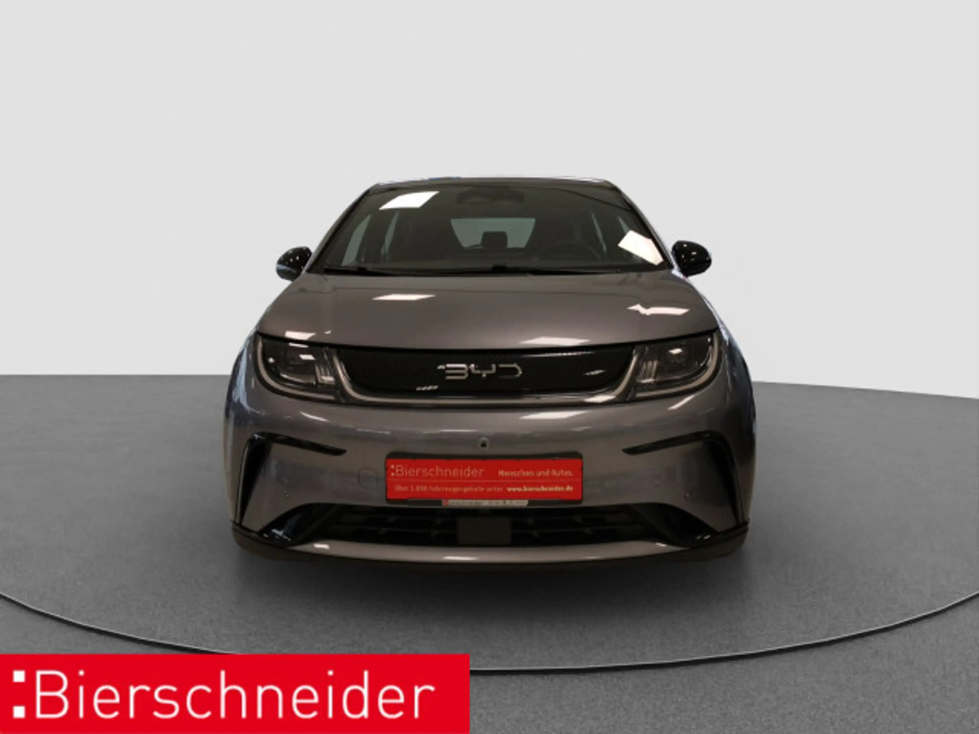 BYD Dolphin Dolphin DMS Design LED PANO LEDER 360° — photo 2