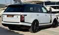 Land Rover Range Rover Land l405 facelift p525 autobiography 5.0 v8 525ch supercharged neuf plus de 200ke dans cette config Blanc - thumbnail 12