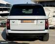 Land Rover Range Rover Land l405 facelift p525 autobiography 5.0 v8 525ch supercharged neuf plus de 200ke dans cette config Blanc - thumbnail 13