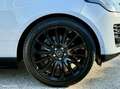 Land Rover Range Rover Land l405 facelift p525 autobiography 5.0 v8 525ch supercharged neuf plus de 200ke dans cette config Blanc - thumbnail 10