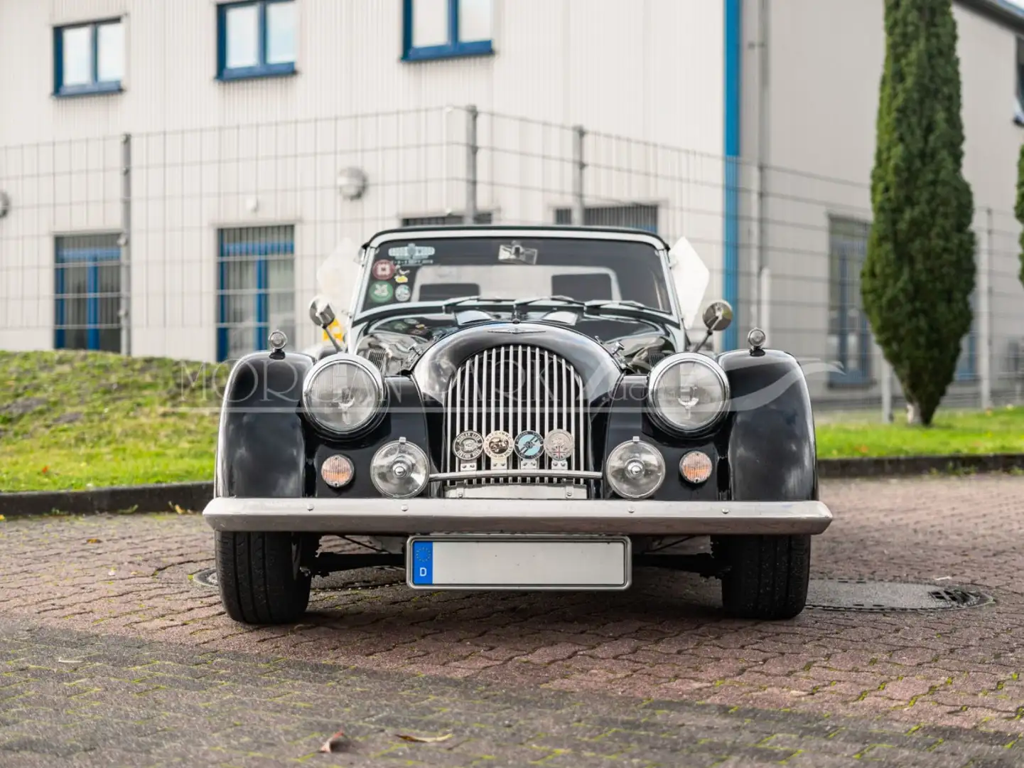 Morgan Plus 4 Grün - 2