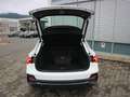Audi Q3 45 TFSI e AHK*ACC*CARPLAY*RFK Weiß - thumbnail 22