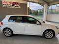 Volkswagen Golf 5p 1.6 tdi Highline Bianco - thumbnail 8